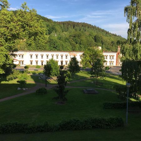 Apartman Stare Casy Svoboda nad Úpou Buitenkant foto